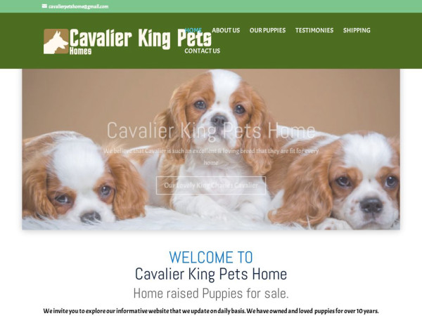 Cavalierkingpetshome.com - Cavalier King Charles Spaniel Puppy Scam Review