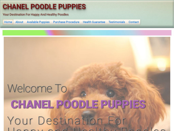 Chanelpoodlepuppies.com - Poodle Puppy Scam Review