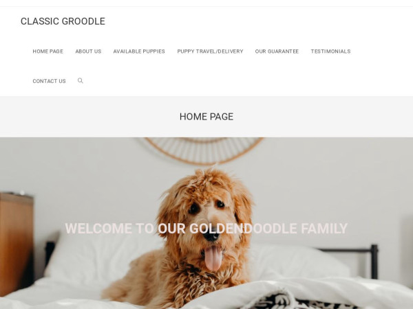 Classicgroodle.com - Golden Doodle Puppy Scam Review