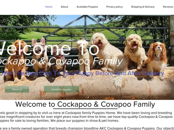 Cockapoofamilypuppies.com - Cockapoo Puppy Scam Review