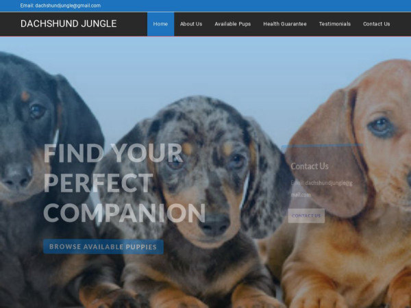 Dachshundjungle.com - Dachshund Puppy Scam Review