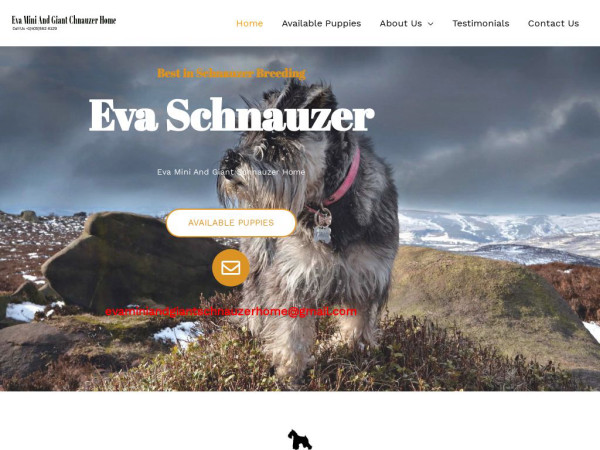 Evaminiandgiantschnauzerhome.com - Schnauzer Puppy Scam Review