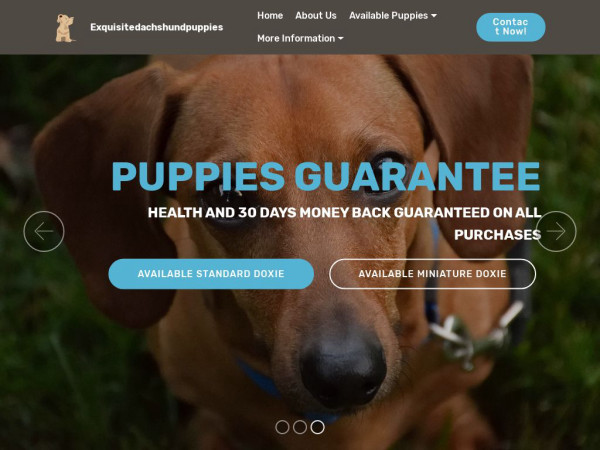 Exquisitedachshundpuppies.com - Dachshund Puppy Scam Review