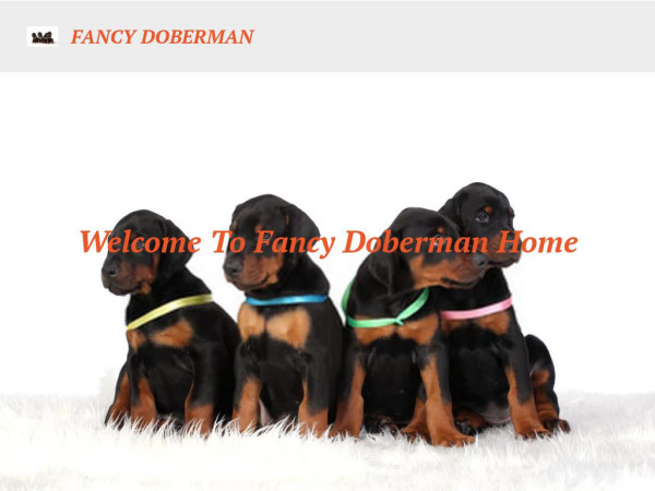 Fancydoberman.com - Doberman Pinscher Puppy Scam Review