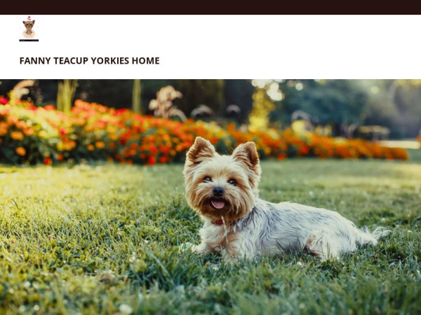 Fannyyorkieshome.com - Yorkshire Terrier Puppy Scam Review