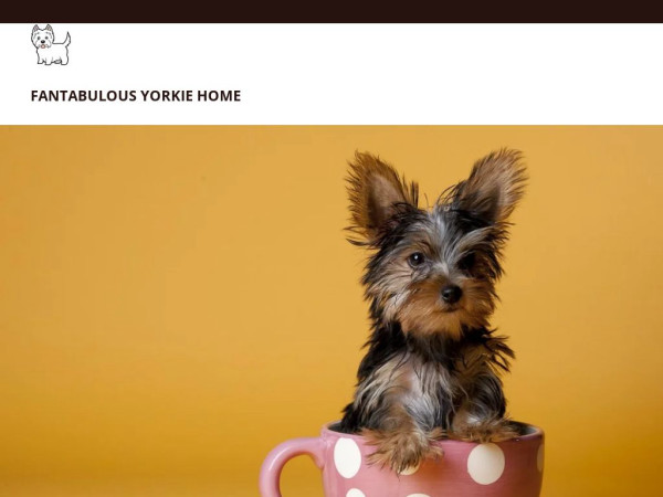 Fantabulousyorkiehome.com - Yorkshire Terrier Puppy Scam Review