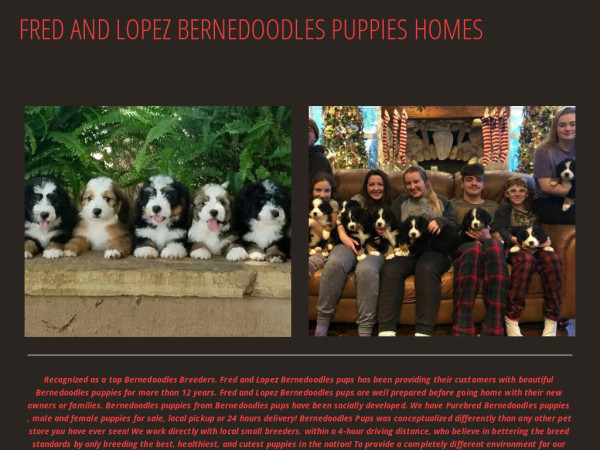 Fredandlopezbernedoodleshomes.com - Bernedoodle Puppy Scam Review