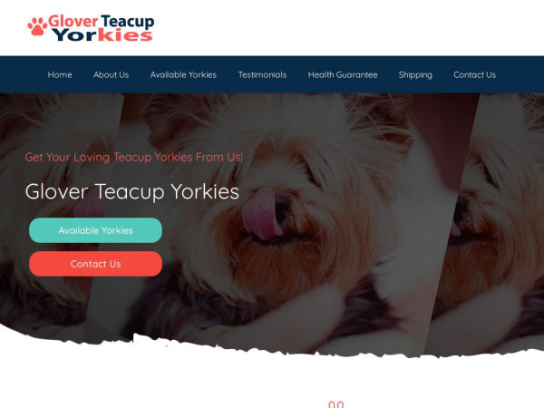 Gloverteacupyorkies.com - Yorkshire Terrier Puppy Scam Review