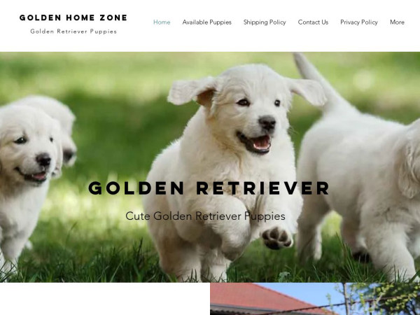 Goldenhomezone.com - Golden Retriever Puppy Scam Review