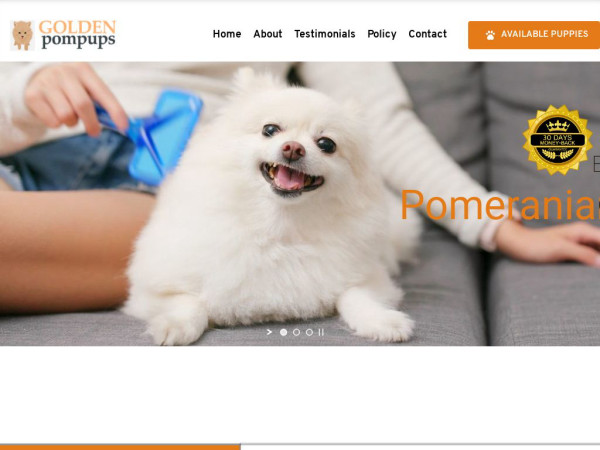 Goldenpompups.com - Golden Retriever Puppy Scam Review