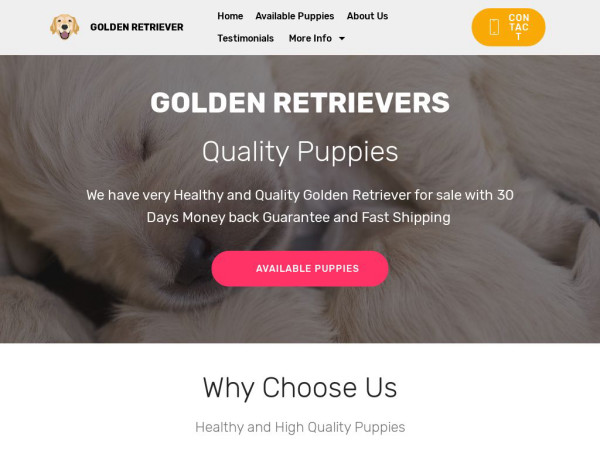 Goldenretrieverforsale.pet - Golden Retriever Puppy Scam Review