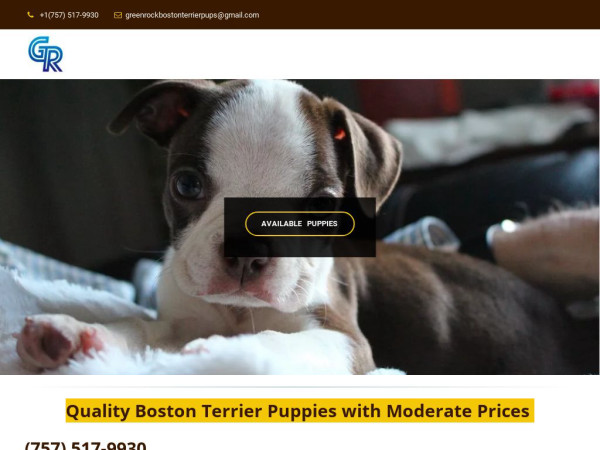 Grockbostonterrier.com - Boston Terrier Puppy Scam Review