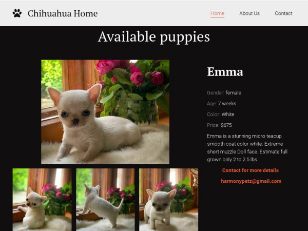 Harmonypetz.net - Chihuahua Puppy Scam Review