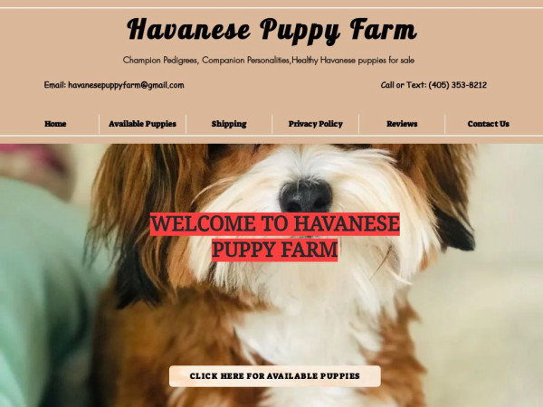 Havanesepuppyhome.com - Havanese Puppy Scam Review