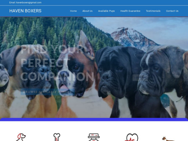 Havenboxers.com - Dachshund Puppy Scam Review