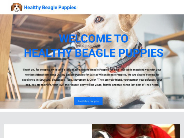 Healthybeaglepuppies.com - Beagle Puppy Scam Review