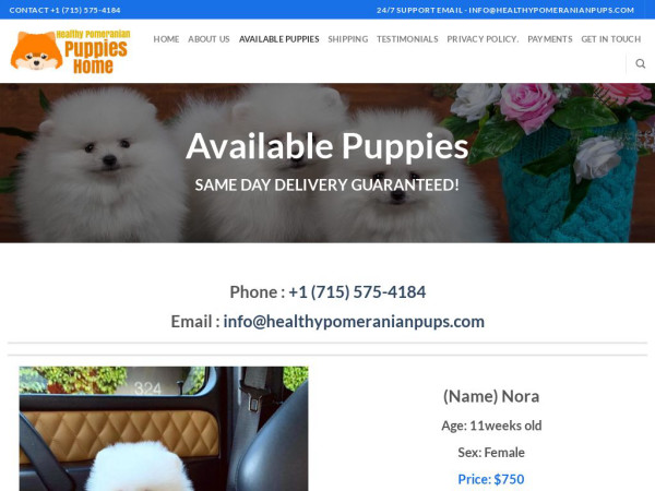 Healthypomeranianpups.com - Great Dane Puppy Scam Review