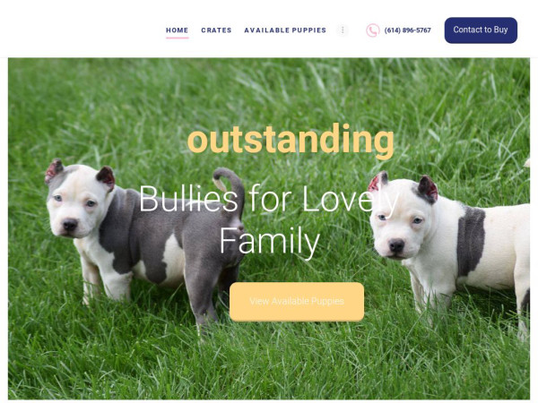 Homeofamericanbullies.com - Pit Bull Puppy Scam Review