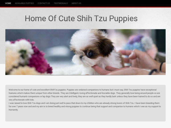 Homeofcuteshihtzupuppies.com - Shihtzu Puppy Scam Review