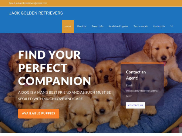 Jackgoldenretrievers.com - Golden Retriever Puppy Scam Review