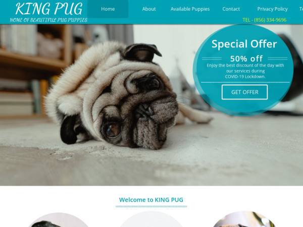 Kingpugpuppies.com - Pug Puppy Scam Review