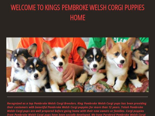 Kingscorgihomes.com - Corgi Puppy Scam Review