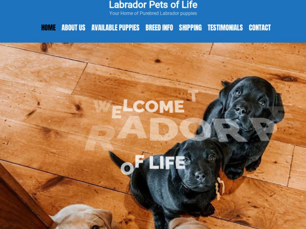 Labradorforlife.com - Labrador Puppy Scam Review