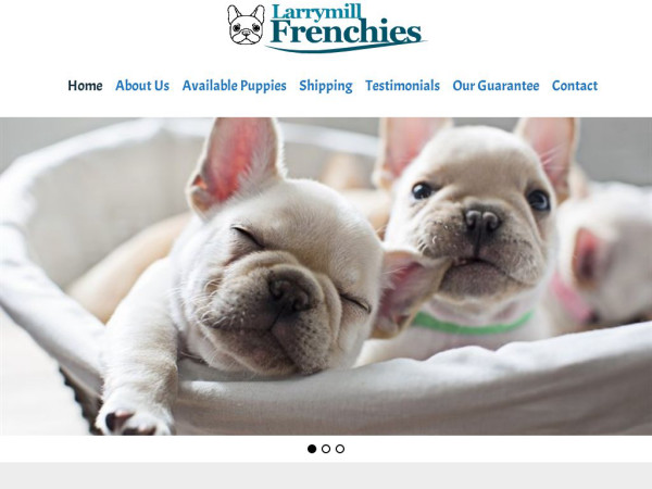 Larrymillfrenchies.com - French Bulldog Puppy Scam Review