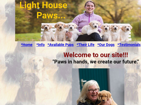 Lighthousepaws.com - Golden Retriever Puppy Scam Review