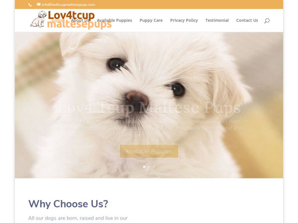 Lov4tcupmaltesepups.com - Maltese Puppy Scam Review