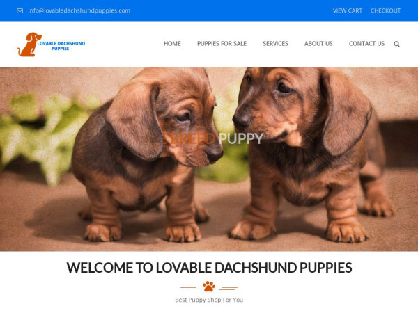 Lovabledachshundpuppies.com - Dachshund Puppy Scam Review