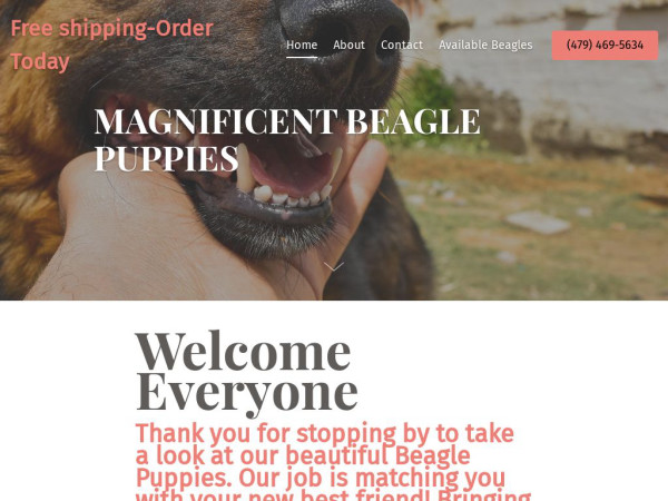 Magnificentbeaglepuppies.com - Beagle Puppy Scam Review