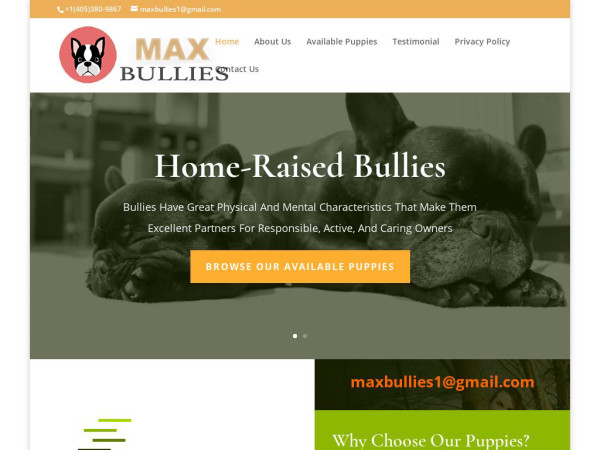 Maxbullies.com - French Bulldog Puppy Scam Review