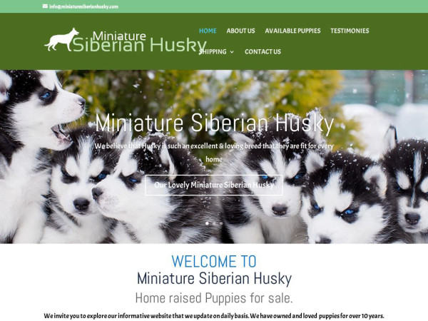 Miniaturesiberianhusky.com - Husky Puppy Scam Review