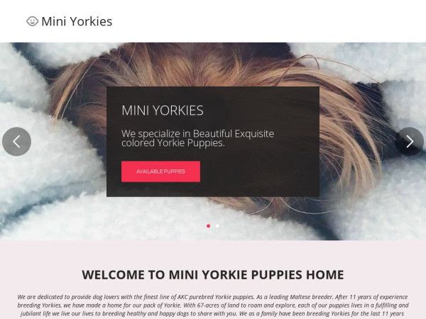 Miniyorkiehome.com - Yorkshire Terrier Puppy Scam Review