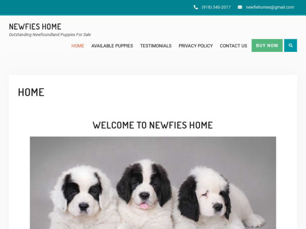 Newfiehome.com - Labrador Puppy Scam Review