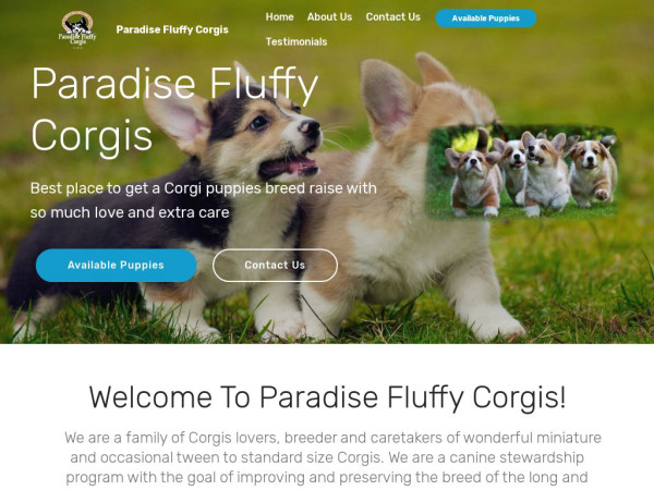 Paradisefluffycorgis.com - Corgi Puppy Scam Review