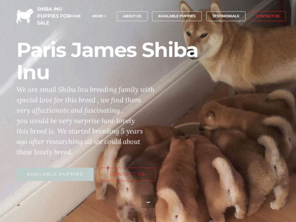 Parisjamespets.com - Shibhainu Puppy Scam Review