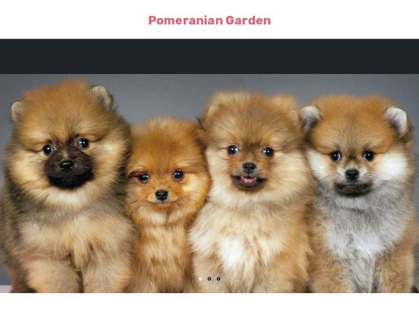 Pomeraniangarden.com - Golden Doodle Puppy Scam Review