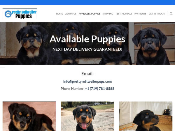 Prettyrottweilerpups.com - Rottweiler Puppy Scam Review