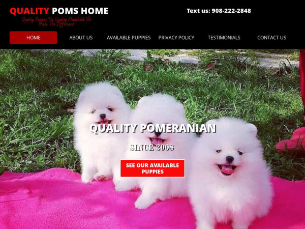 Qualitypomshome.com - Pomeranian Puppy Scam Review