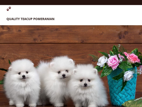 Qualityteacuppomeranianhome.com - Pomeranian Puppy Scam Review