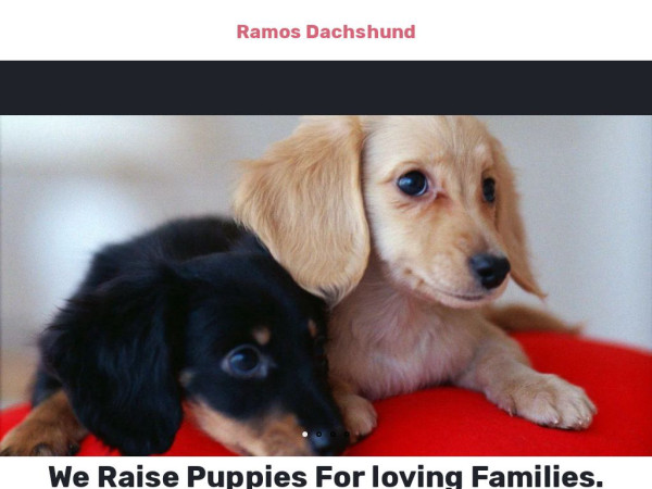 Ramosdachshund.com - Dachshund Puppy Scam Review