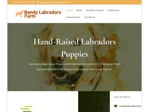 Randylabradorsfarm.com - Labrador Puppy Scam Review