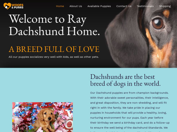 Raydachshundhome.com - Dachshund Puppy Scam Review