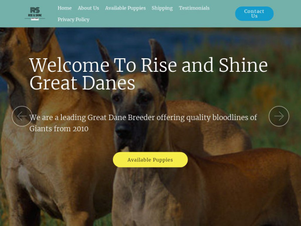 Riseandshinegreatdanepuppies.com - Great Dane Puppy Scam Review