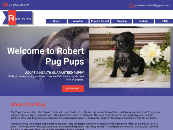 Robertpugpups.com - Pug Puppy Scam Review