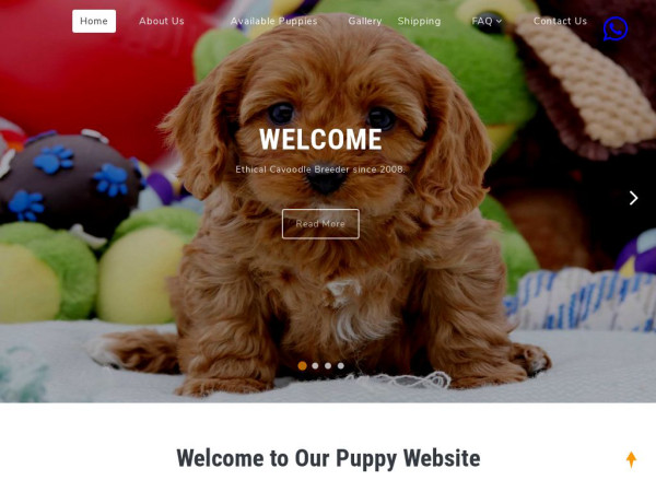 Rockinghamkennel.com - Cavapoo Puppy Scam Review