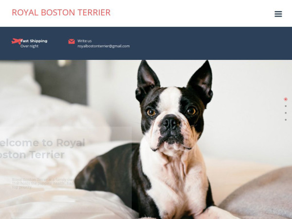 Royalbostonterrier.com - Boston Terrier Puppy Scam Review