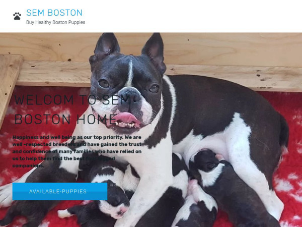 Sembostonpuppieshome.com - Boston Terrier Puppy Scam Review